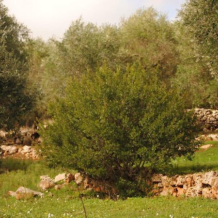 Bed and Breakfast Il Giardino Di Viola Ceglie Messapica Exterior foto