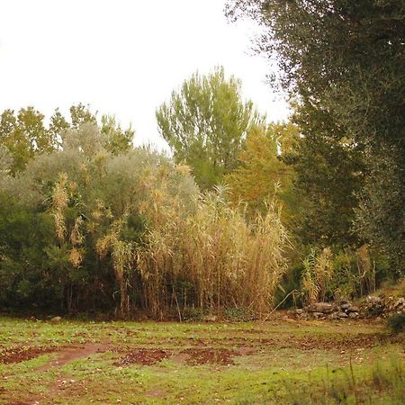 Bed and Breakfast Il Giardino Di Viola Ceglie Messapica Exterior foto
