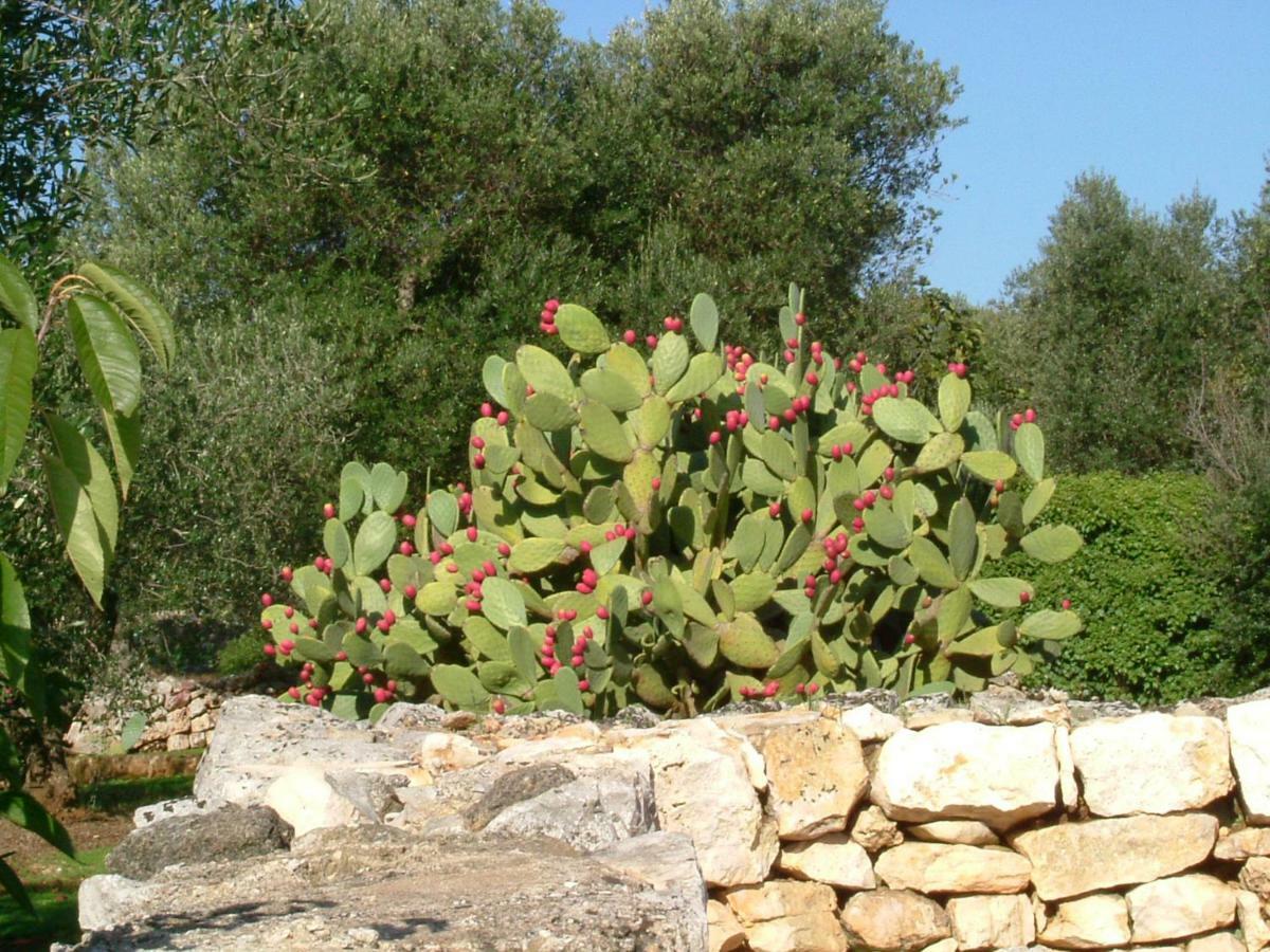 Bed and Breakfast Il Giardino Di Viola Ceglie Messapica Exterior foto