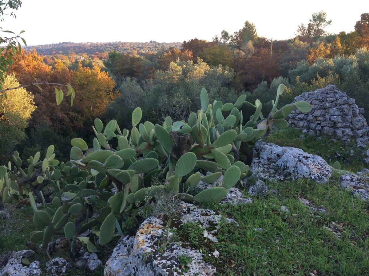 Bed and Breakfast Il Giardino Di Viola Ceglie Messapica Exterior foto